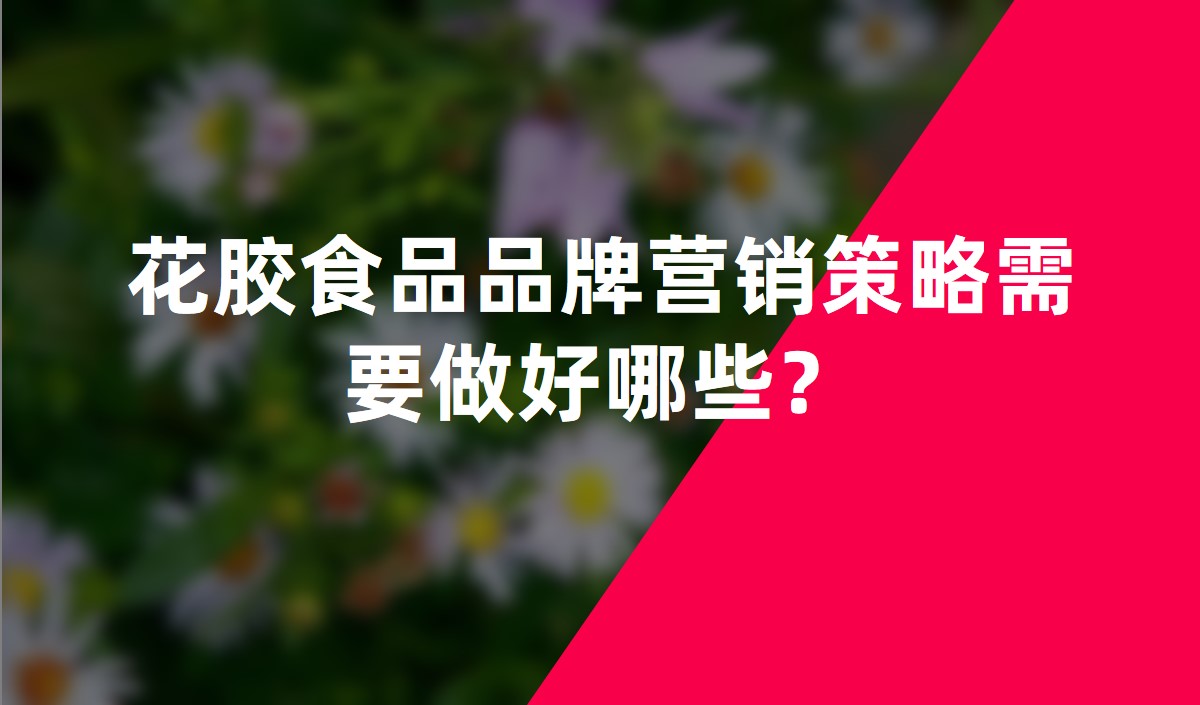 花膠食品品牌營(yíng)銷(xiāo)策略需要做好哪些？