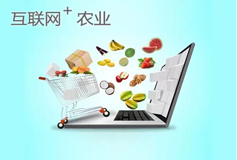 互聯(lián)網(wǎng)農(nóng)業(yè)品牌定位可以選哪些關(guān)鍵詞？