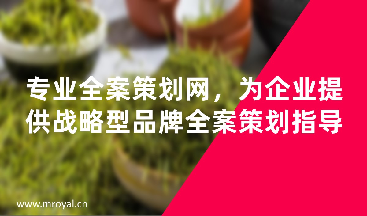 專業(yè)全案策劃網，為企業(yè)提供戰(zhàn)略型品牌全案策劃指導