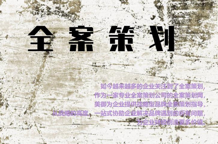 專業(yè)全案策劃網(wǎng)，為企業(yè)提供戰(zhàn)略型品牌全案策劃指導(dǎo)