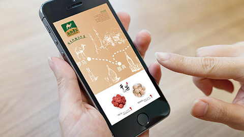 農(nóng)業(yè)品牌策劃,農(nóng)產(chǎn)品品牌設計